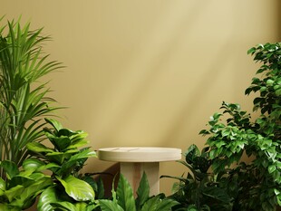 室内绿植与简约小桌布置