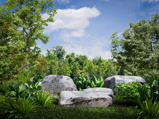 自然景观中的岩石与绿植