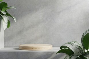 简约植物与盘饰摆放场景