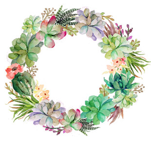 水彩多肉植物花环
