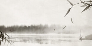 水墨湖畔竹影飞鸟之景
