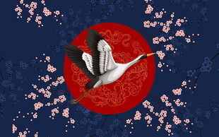 红月白鹤樱花中式美景