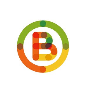 多彩字母B圆形标志设计