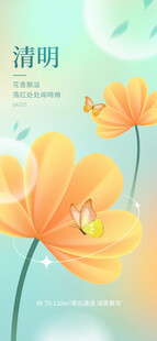 清明时节绽放的黄色花朵