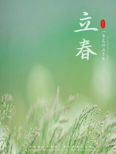 立春时节的清新草地