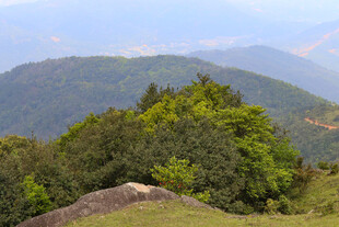 青山绿树间的秀丽山景