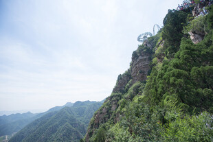 陡峭山壁上的翠绿植被