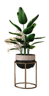 金属架绿植盆栽