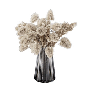 简约花瓶中的干花装饰