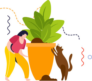 女子与猫狗共赏大盆栽