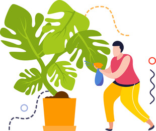 男子细心浇灌室内大绿植