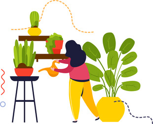 女子专注打理室内绿植