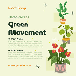 植物店绿植养护小贴士