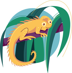 树枝上的可爱变色龙