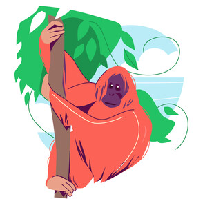 挂在树上的红毛猩猩