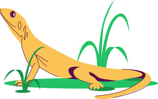 黄色蜥蜴与绿色草丛