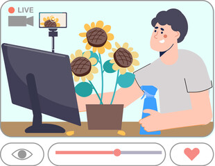 主播直播中展示向日葵盆栽