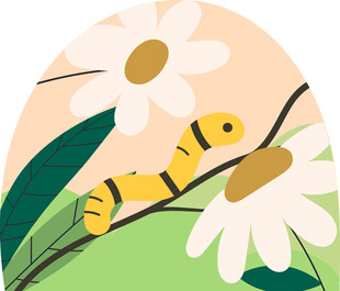 黄色毛毛虫在花朵间爬行