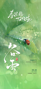 谷雨海报