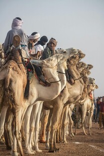 沙漠中骑骆驼的旅行者