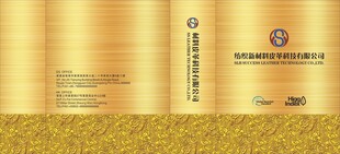 金色质感色卡本外壳