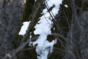 雪覆岩石上的冬日景象