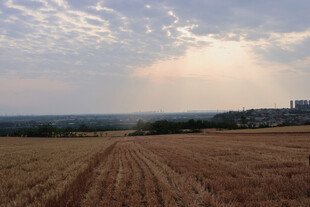 金色田野上的阳光美景