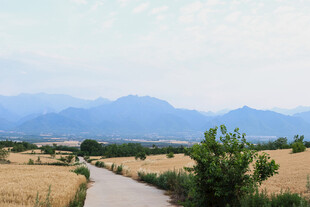乡间小路旁的田野与远山
