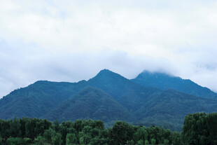 云雾缭绕的山峦与绿树
