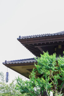 中式屋檐下的葱郁绿植