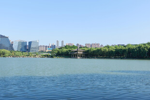 城市湖畔风光