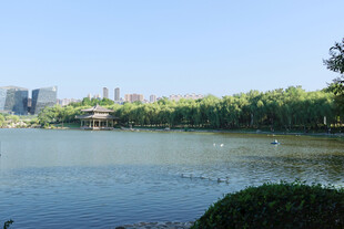 城市湖畔风光