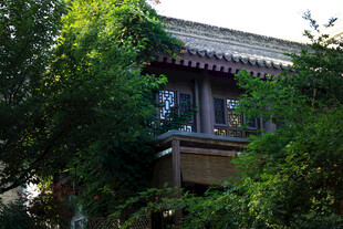 中式楼阁隐于葱郁绿植间