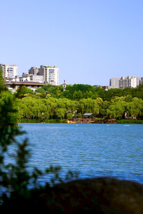 湖畔绿树环绕的城市景观