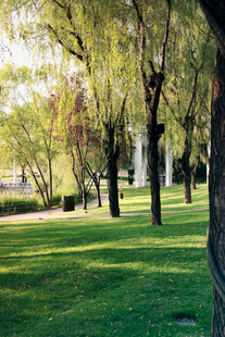 阳光照耀下的绿意公园