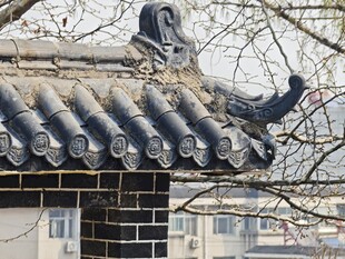 中式屋顶上的精美鸱吻