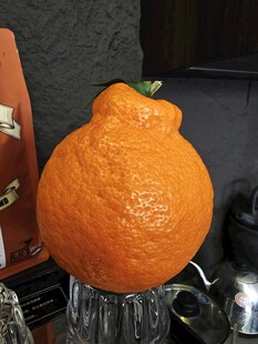 独特造型的丑橘