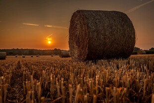 夕阳下的田野草垛