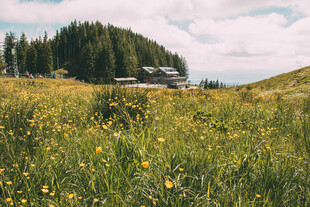山间草地与远处小屋风景