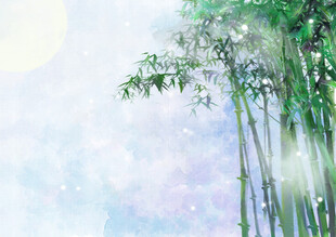 梦幻竹林美景