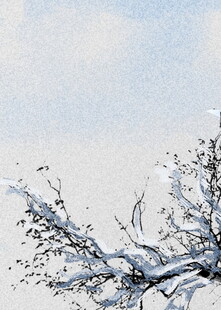 枝头覆雪冬日静美景致