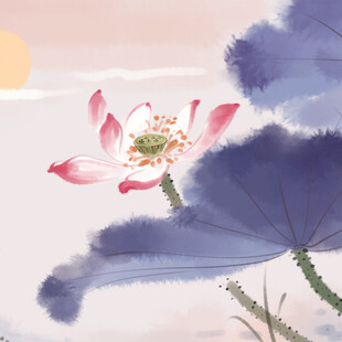 水墨荷花图夕阳下的雅致