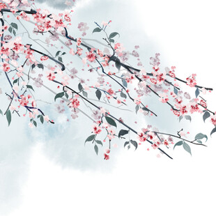 水墨风绽放的娇艳花枝