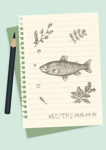 手绘稿 鱼