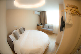 温馨圆形卧室室内景象