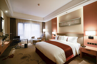 豪华舒适的现代风格酒店客房