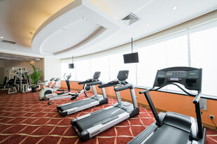 现代健身房内的多样健身器材