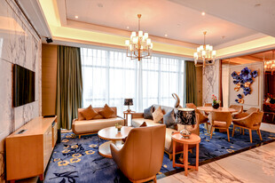 豪华客厅室内优雅场景