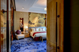 豪华典雅的卧室室内景观