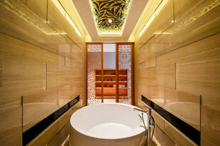 豪华现代风格室内浴缸空间